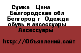 Сумка › Цена ­ 500 - Белгородская обл., Белгород г. Одежда, обувь и аксессуары » Аксессуары   